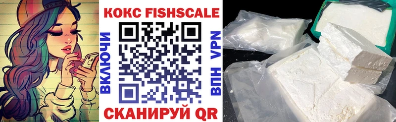Cocaine FishScale  купить закладку  Гвардейск 