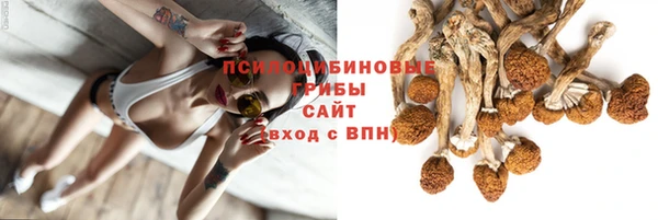 дживик Арсеньев