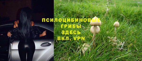 дживик Арсеньев